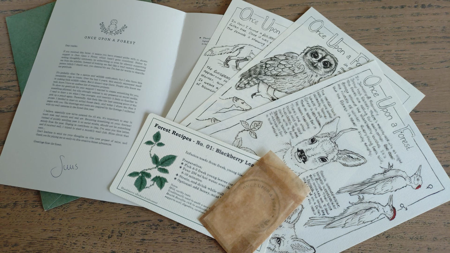 Forest Diary Pages: Winter & Early Spring